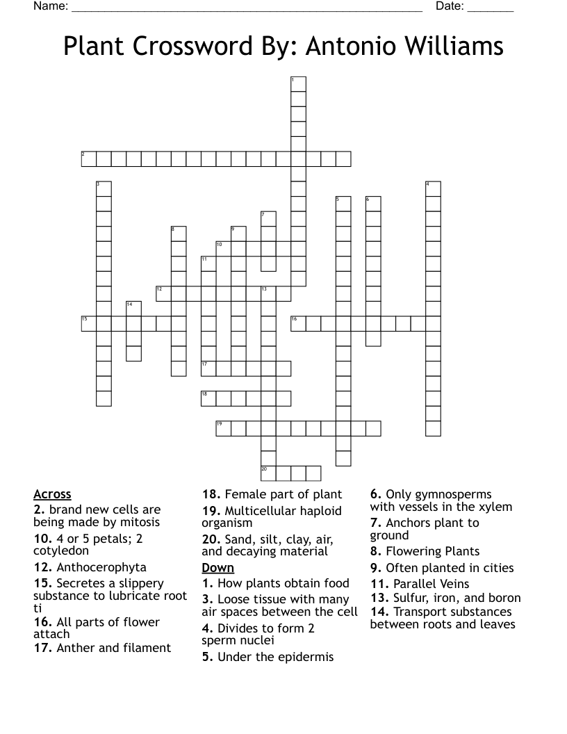 Plant Crossword By: Antonio Williams 