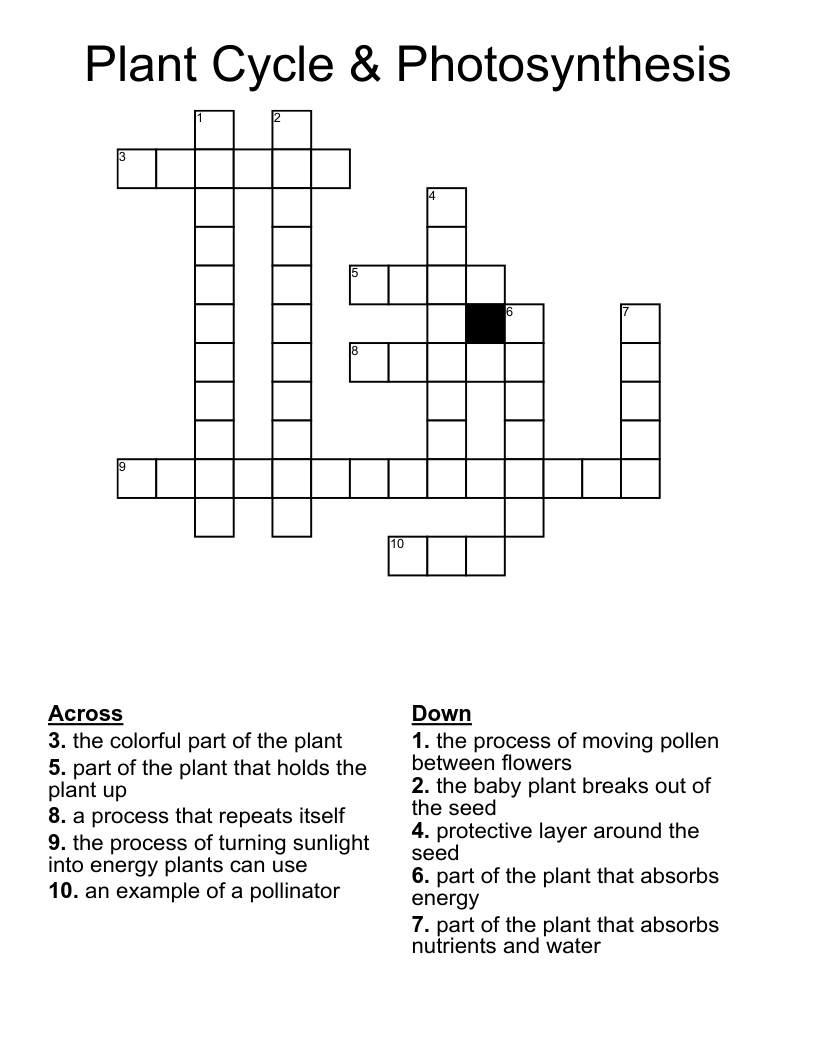 Plant Cycle & Photosynthesis Crossword