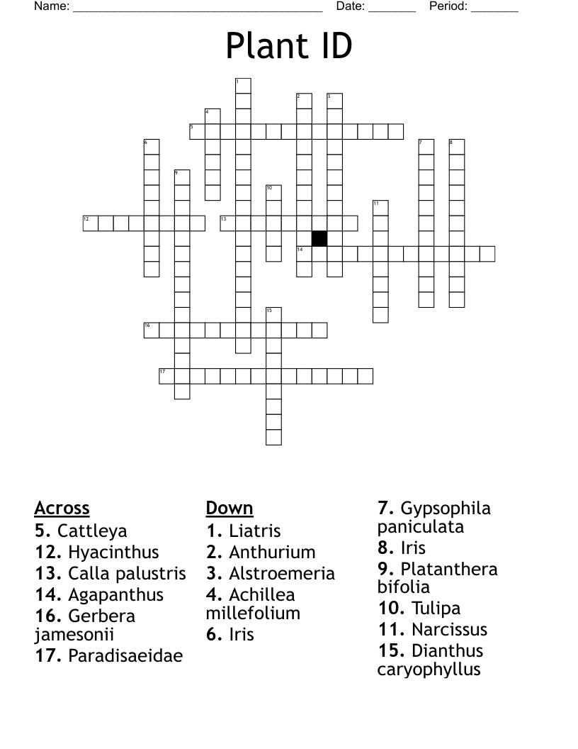 Plant ID Crossword
