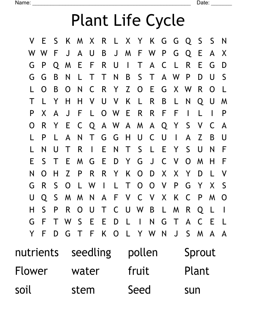 Plant Life Cycle Word Search