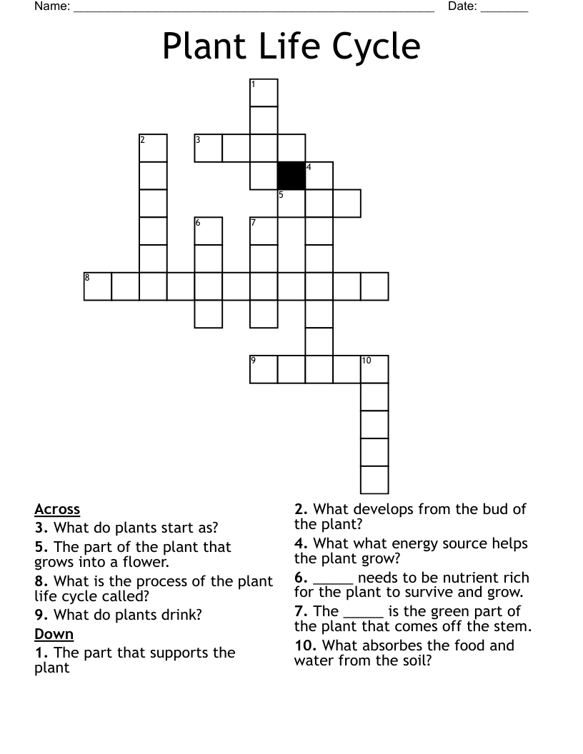 Plant Life Cycle Crossword