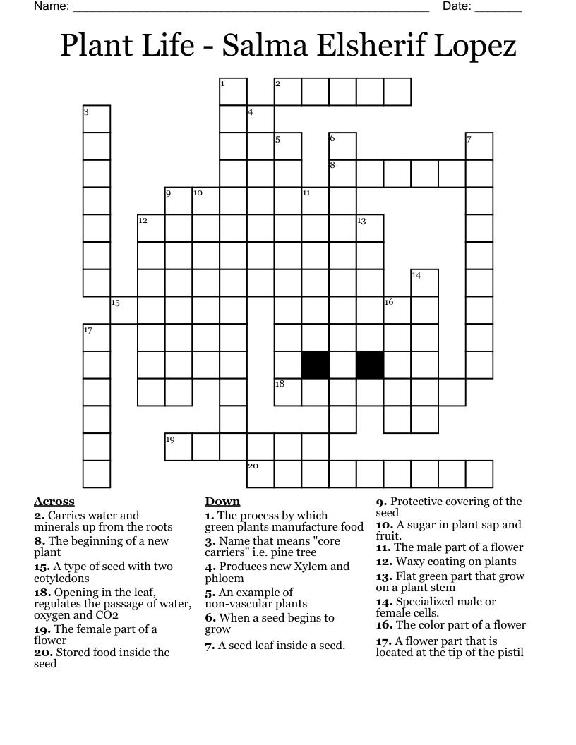 Plant Life - Salma Elsherif Lopez Crossword