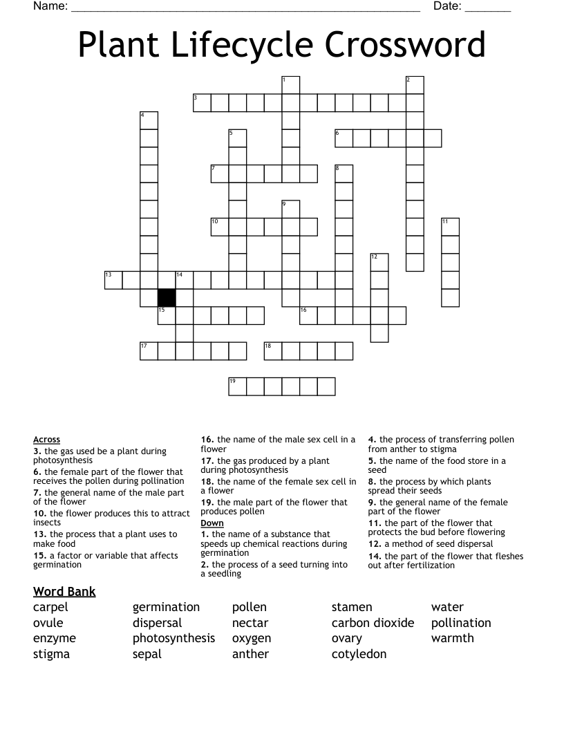 Plant Lifecycle Crossword