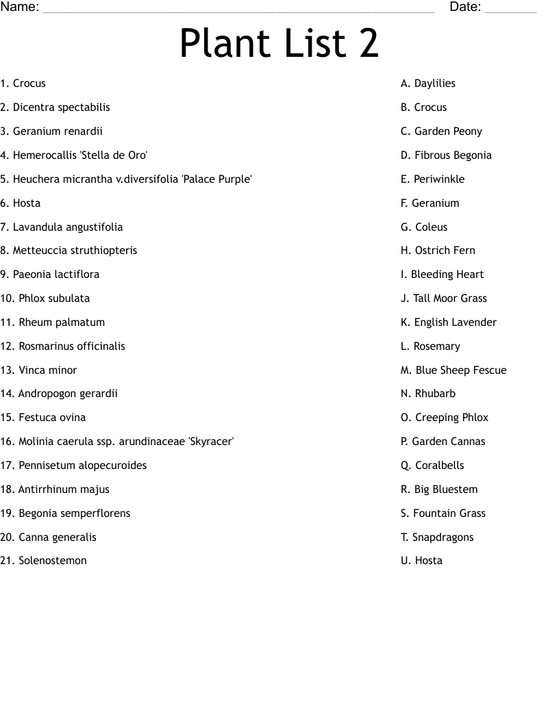 Plant List 2 Worksheet
