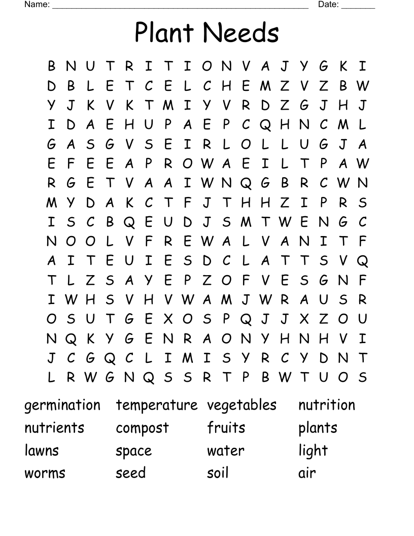 Plant Needs Word Search