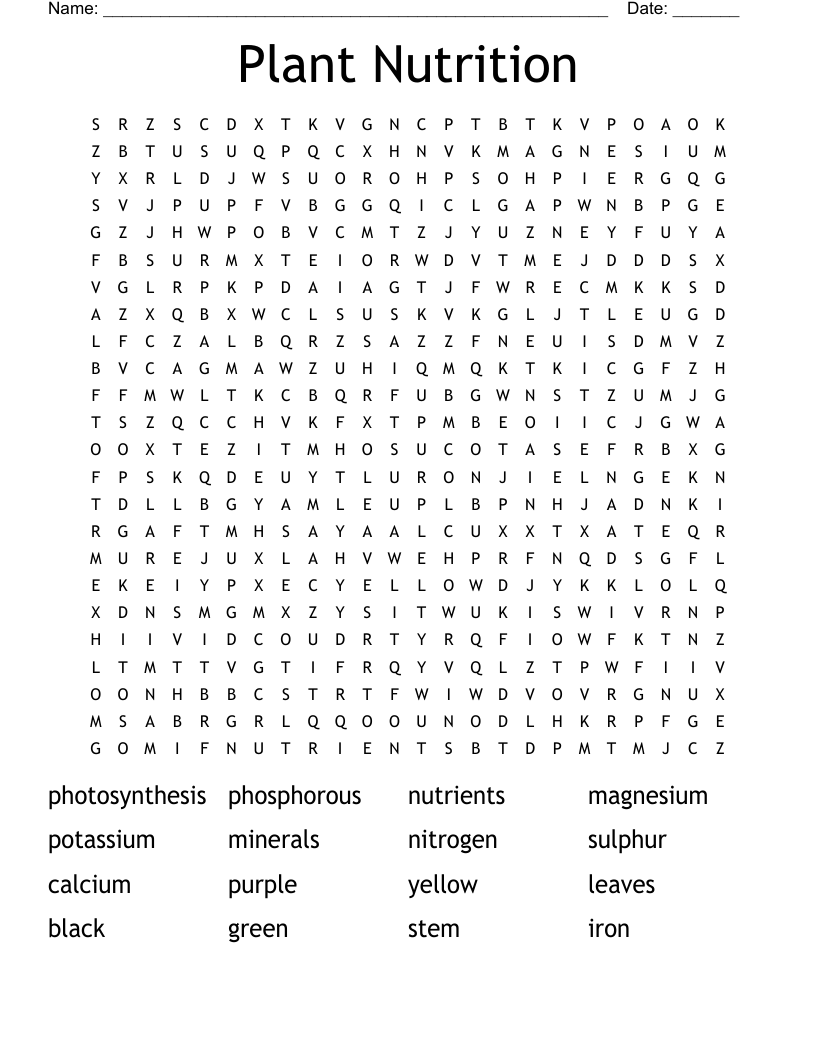 Plant Nutrition Word Search