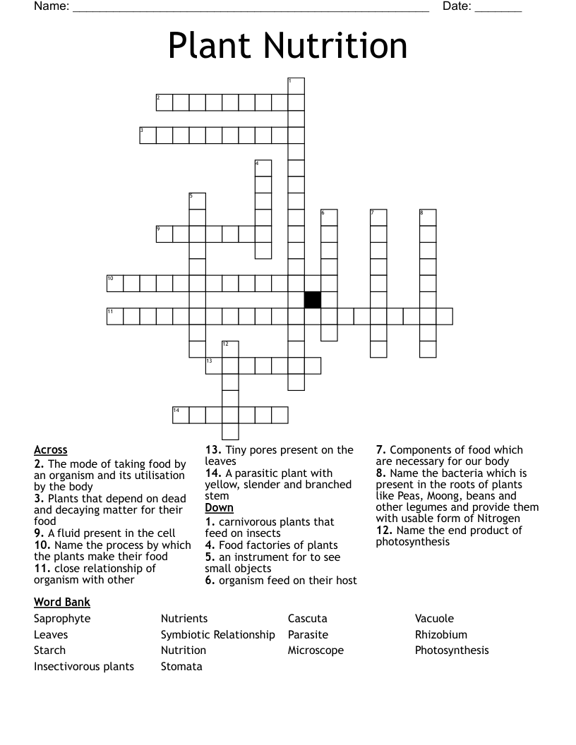 Plant Nutrition  Crossword