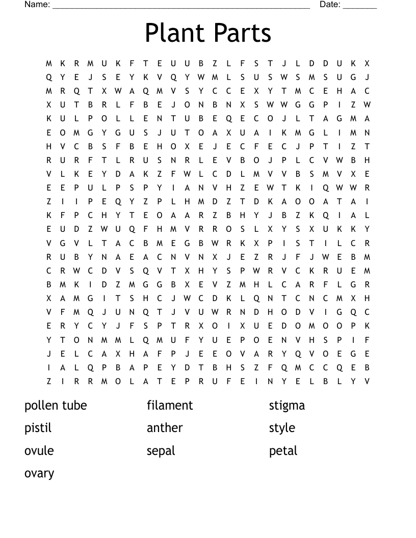 Plant Parts Word Search