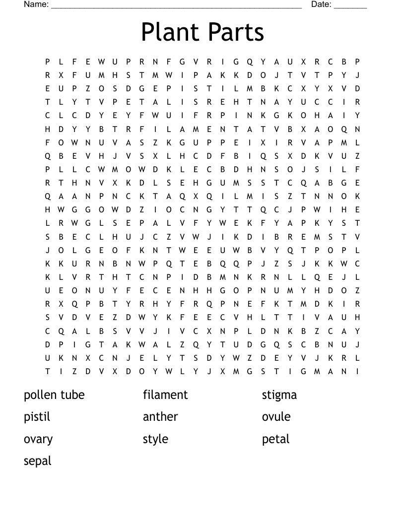 Plant Parts Word Search
