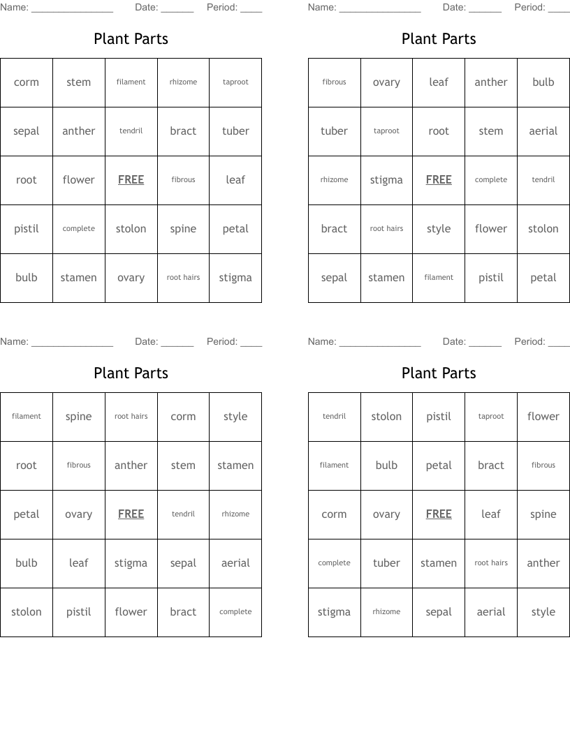 Plant Parts Bingo Cards