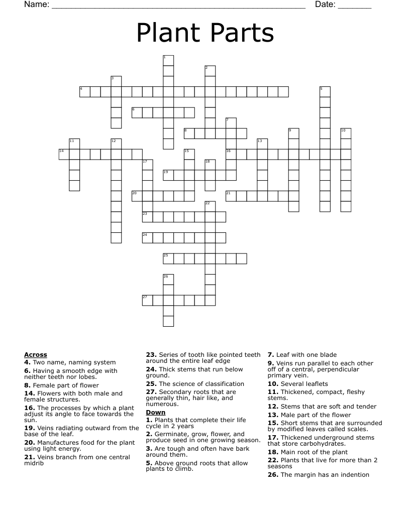 Plant Parts Crossword