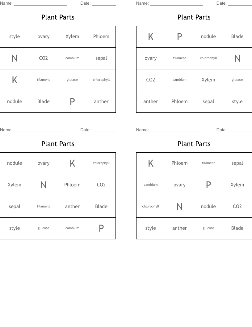 Plant Parts Bingo Cards