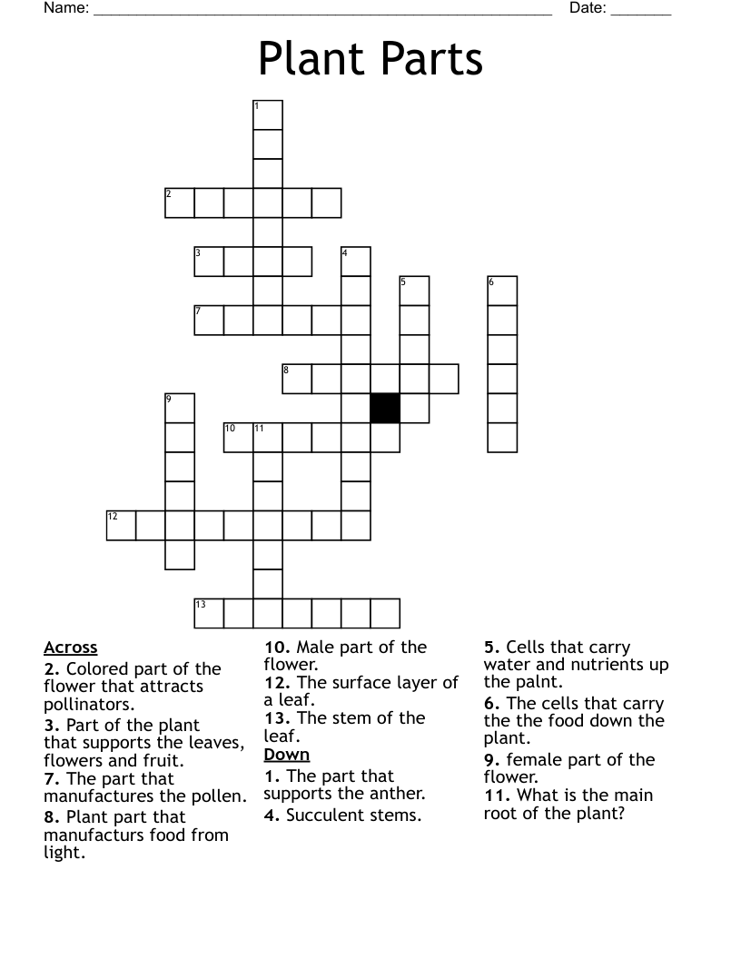 Plant Parts Crossword