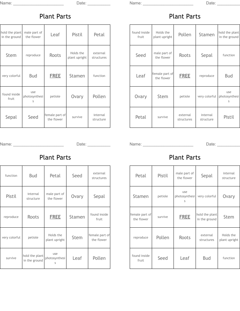 Plant Parts Bingo Cards