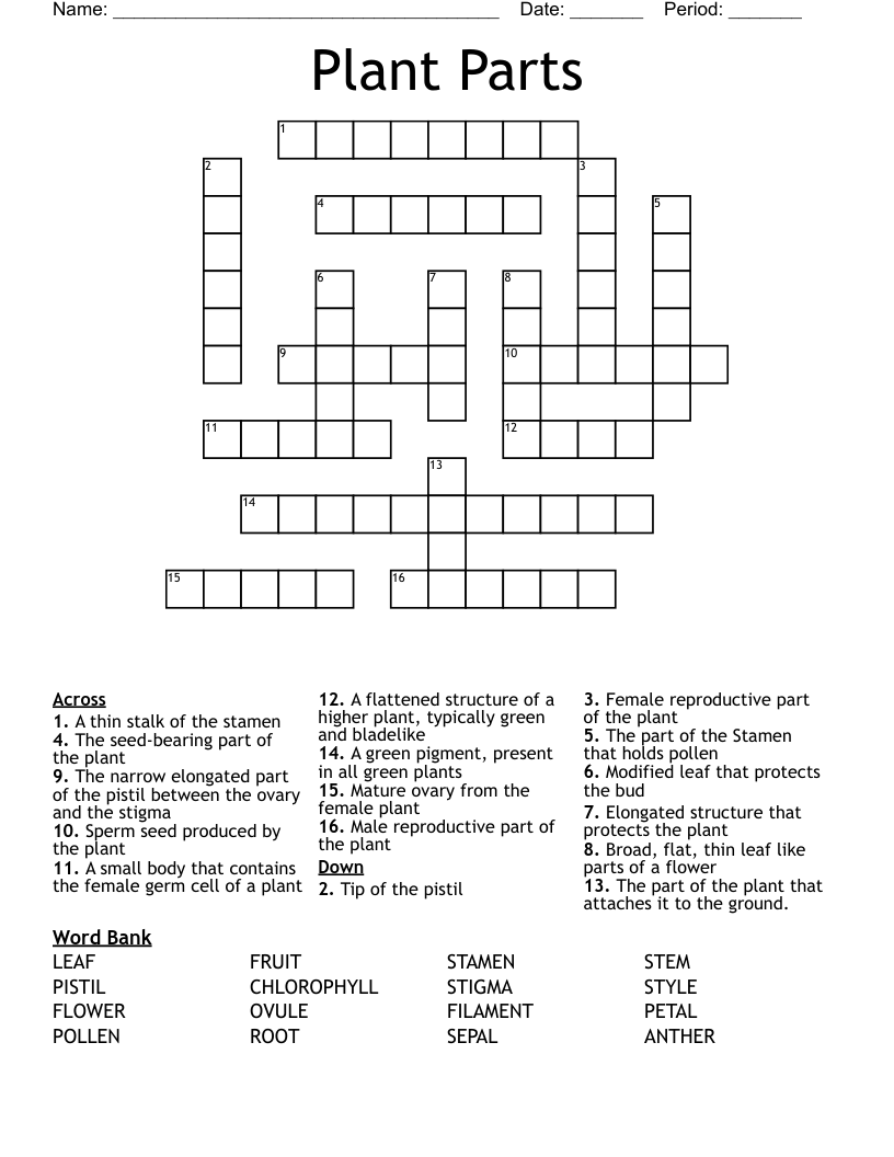 Plant Parts Crossword