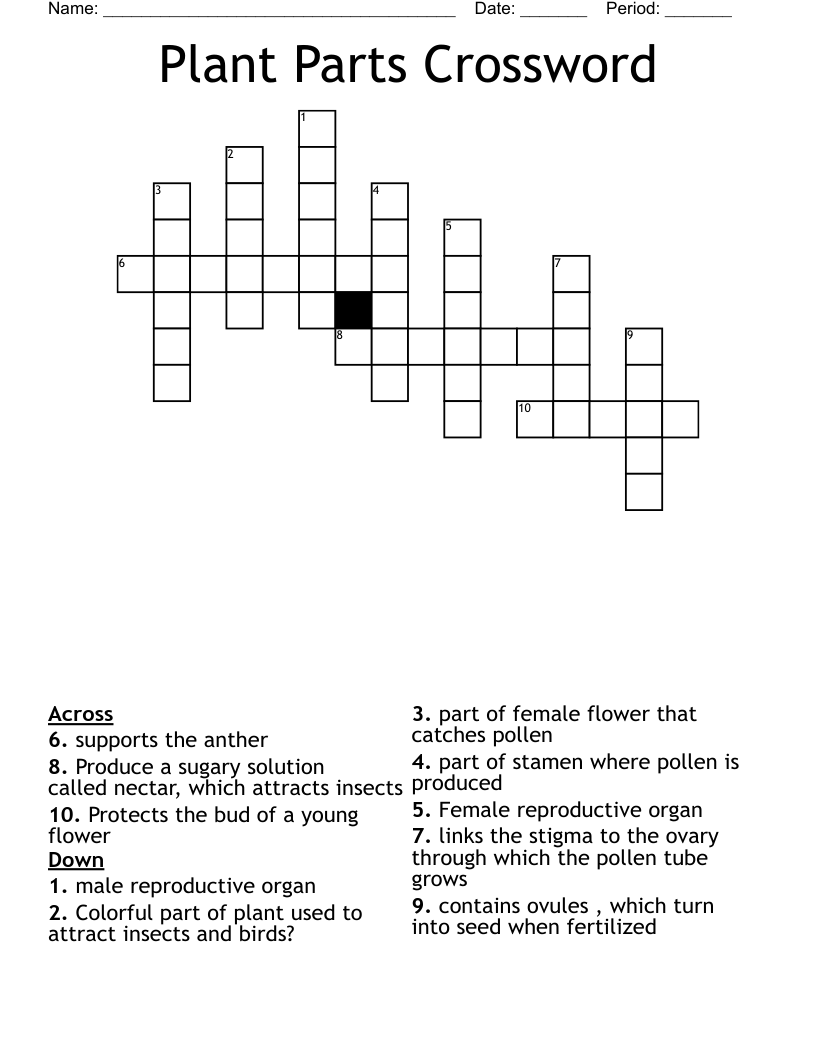 Plant Parts Crossword