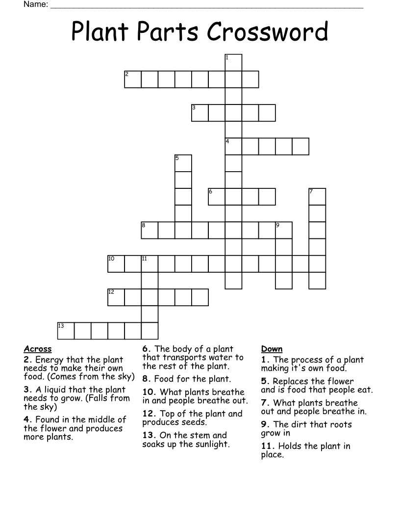 Plant Parts Crossword