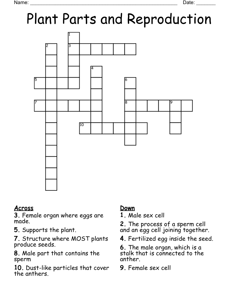 Plant Parts and Reproduction  Crossword