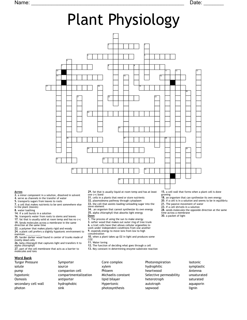 Plant Physiology Crossword