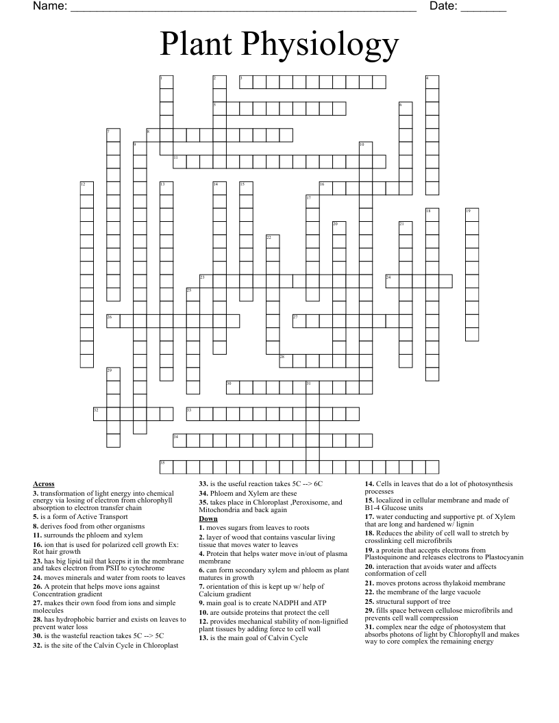 Plant Physiology  Crossword