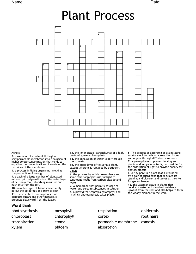 Plant Process Crossword