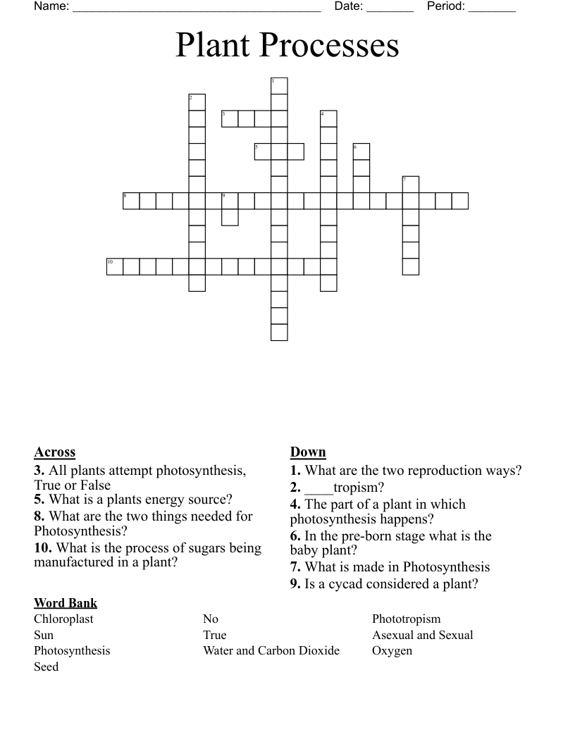 Plant Processes Crossword