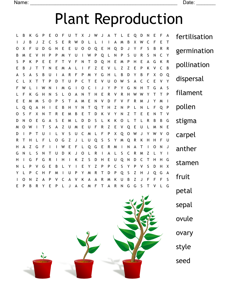 Plant Reproduction Word Search