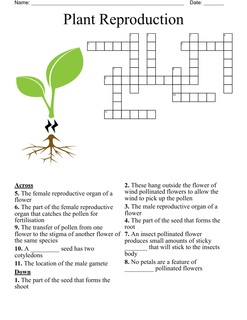 Plant Reproduction  Crossword
