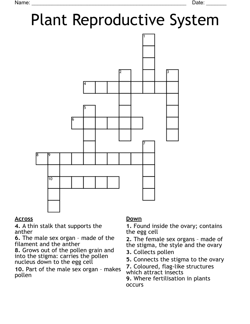 Plant Reproductive System Crossword