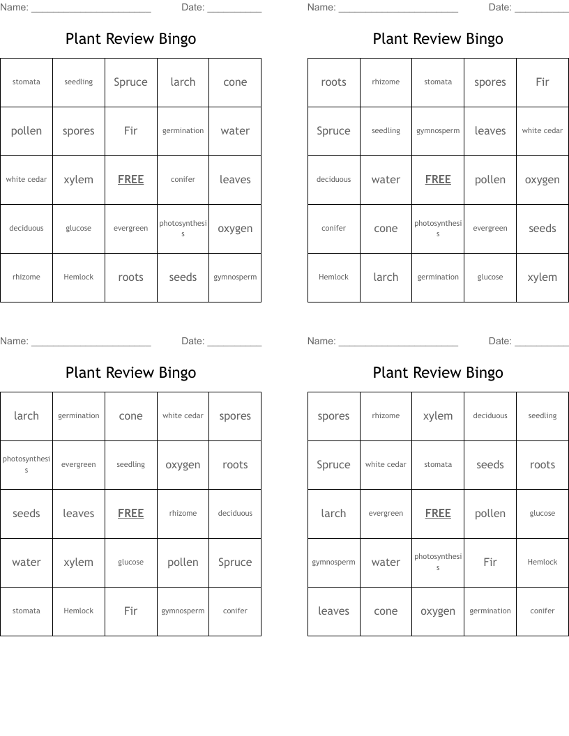 Plant Review Bingo