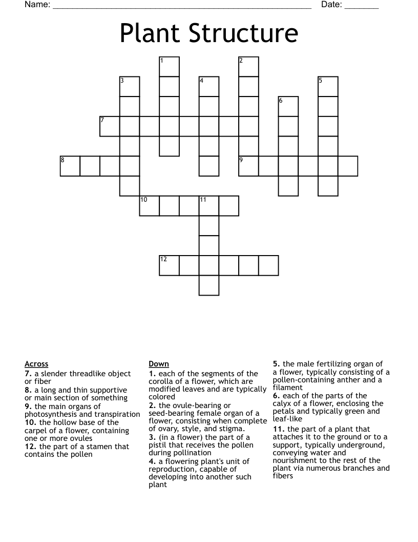 Plant Structure Crossword