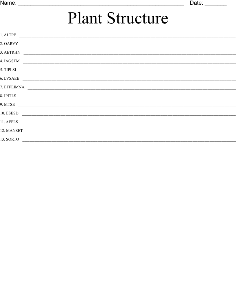 Plant Structure Word Scramble