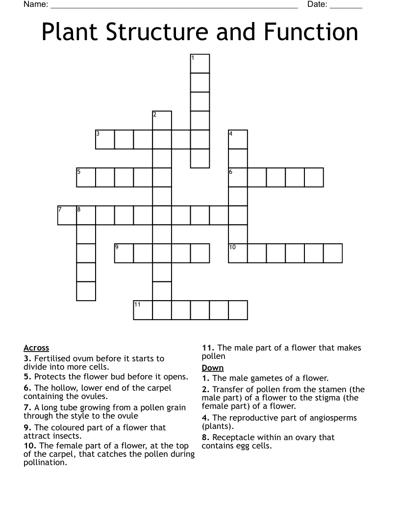 Plant Structure and Function Crossword