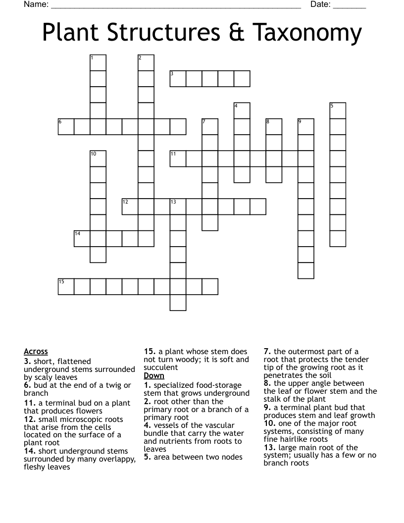 Plant Structures & Taxonomy Crossword