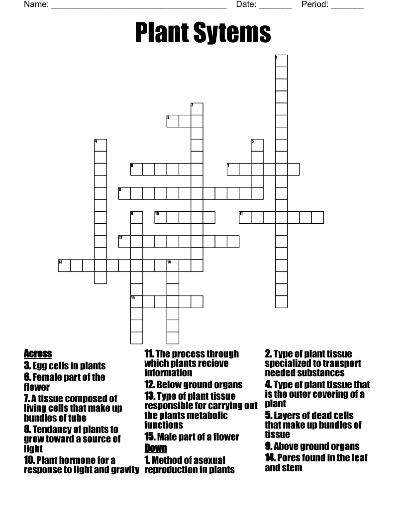 Plant Sytems  Crossword