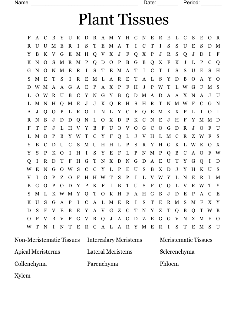 Plant Tissues Word Search