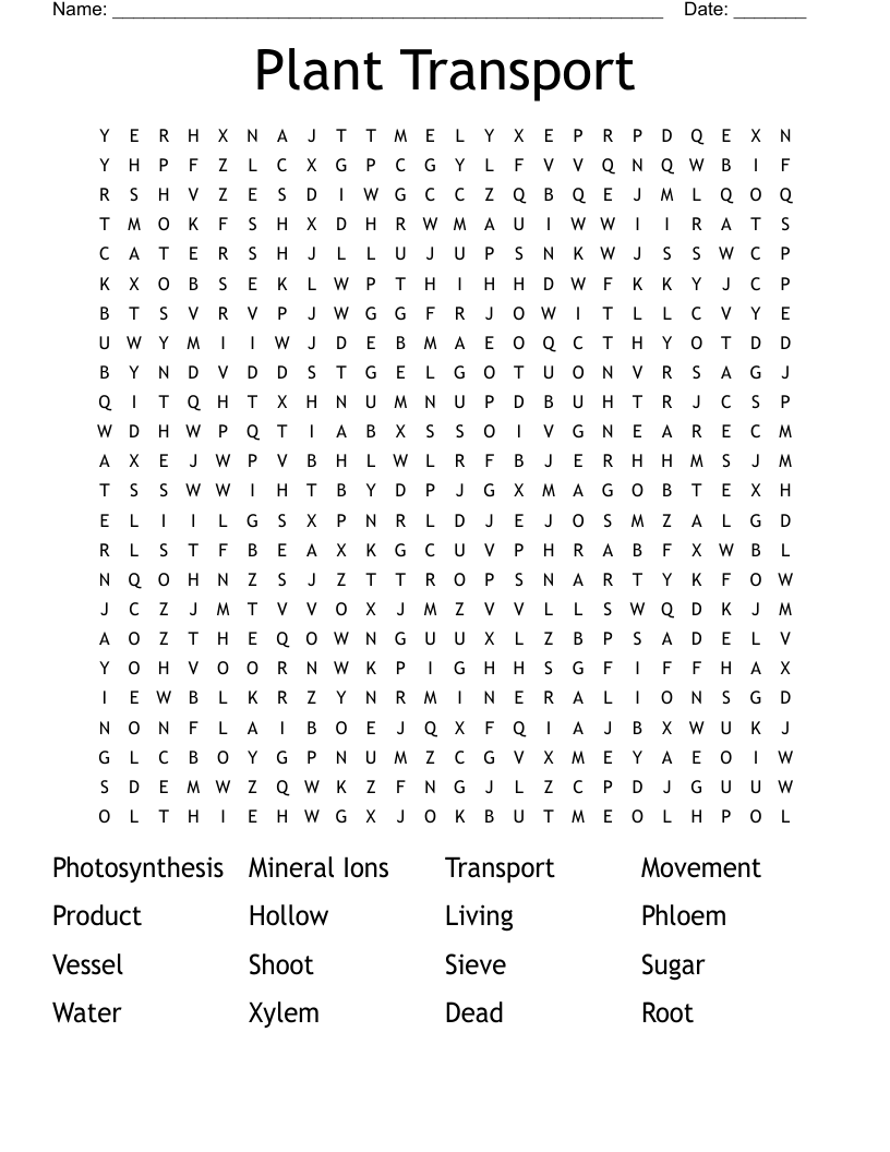 Plant Transport Word Search