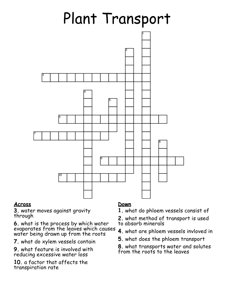 Plant Transport Crossword