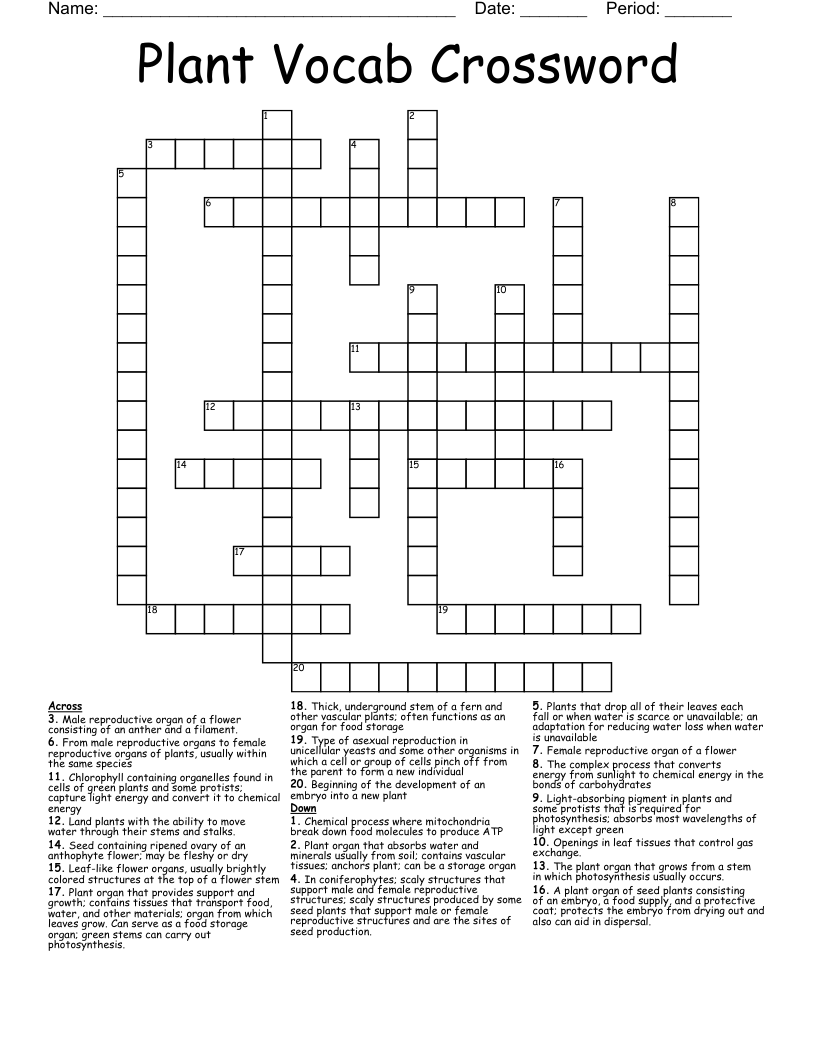 Plant Vocab Crossword 