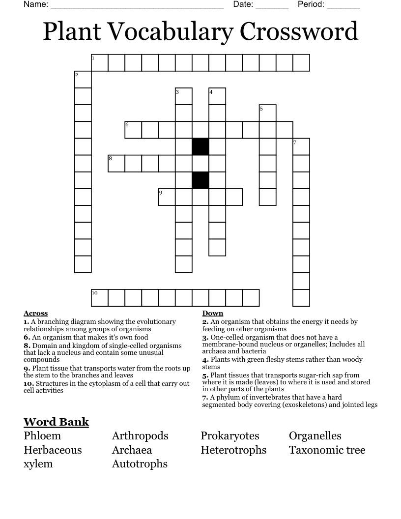 Plant Vocabulary Crossword