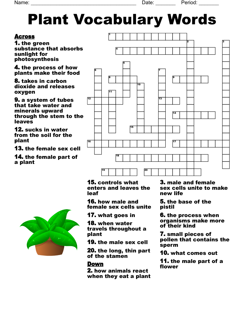 Plant Vocabulary Words  Crossword