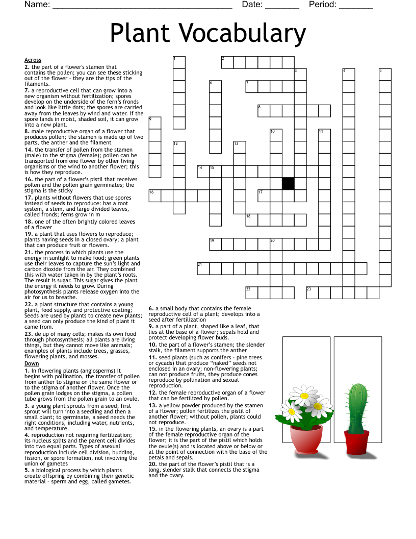 Plant Vocabulary  Crossword