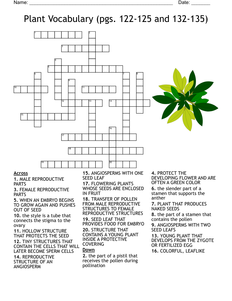 Plant Vocabulary (pgs. 122-125 and 132-135) Crossword