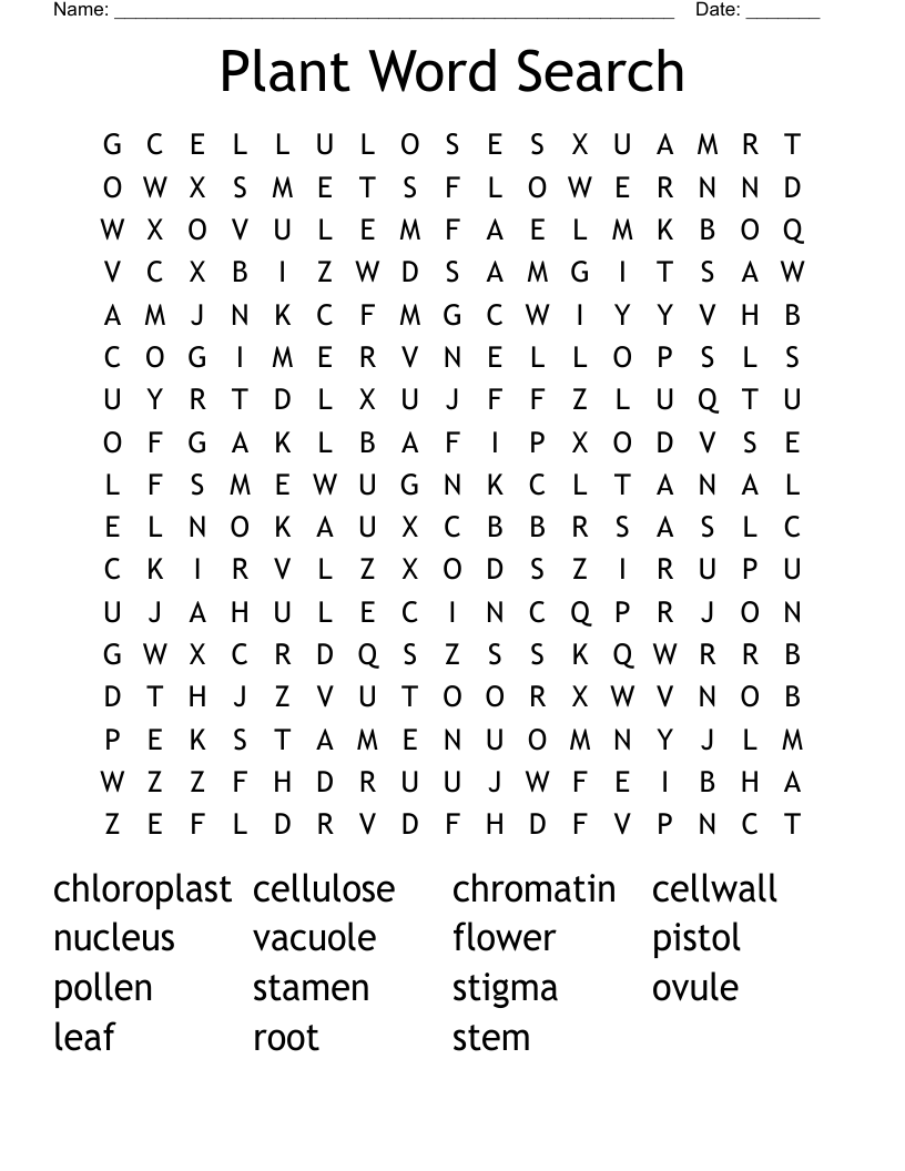 Plant Word Search
