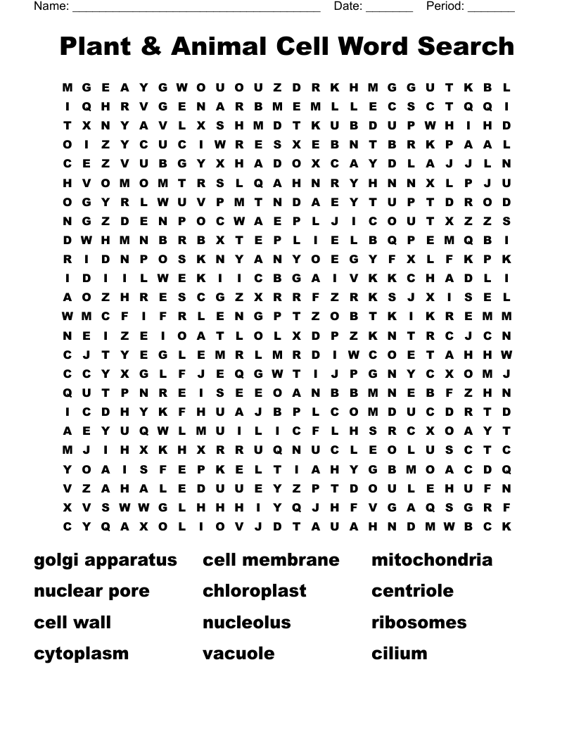 Plant & Animal Cell Word Search