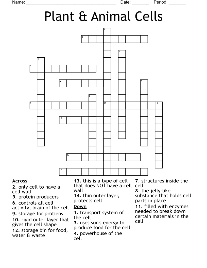 Plant & Animal Cells Crossword