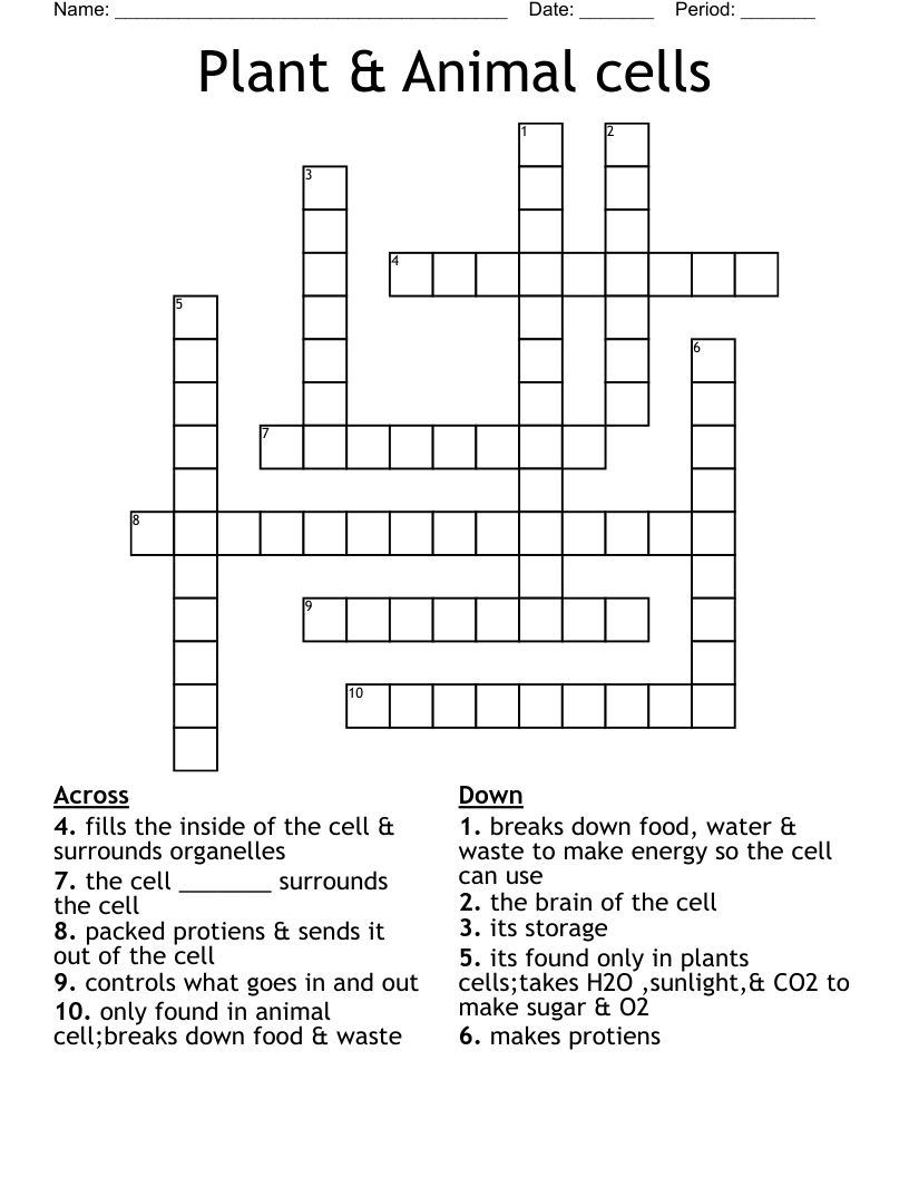 Plant & Animal cells Crossword