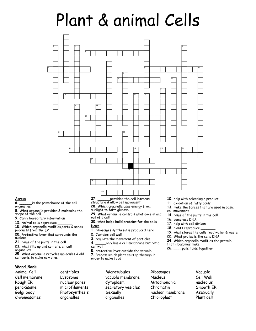 Plant & animal Cells Crossword