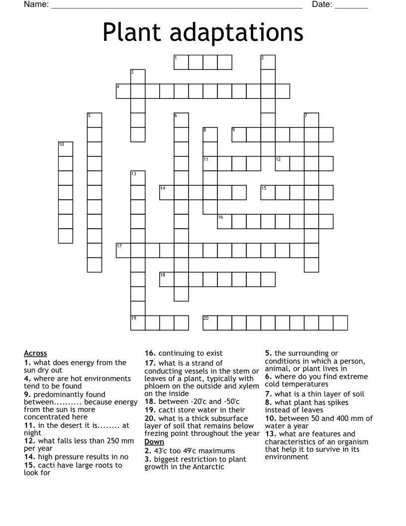 Plant adaptations  Crossword