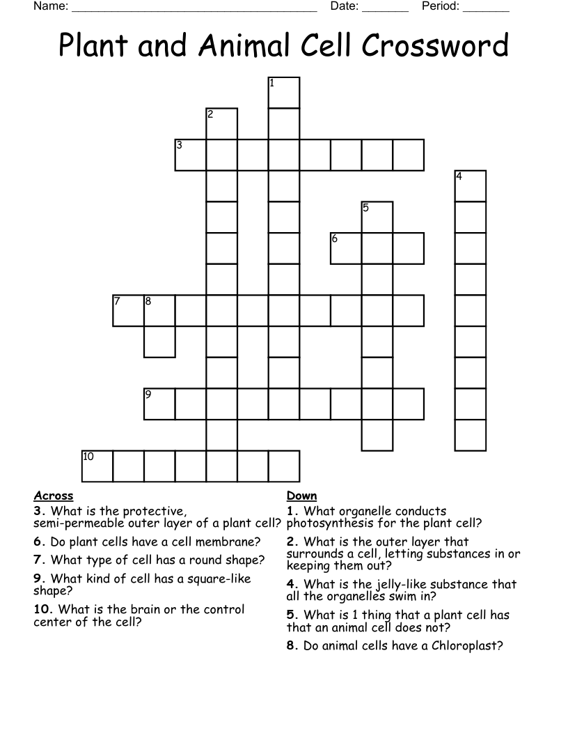 Plant and Animal Cell Crossword